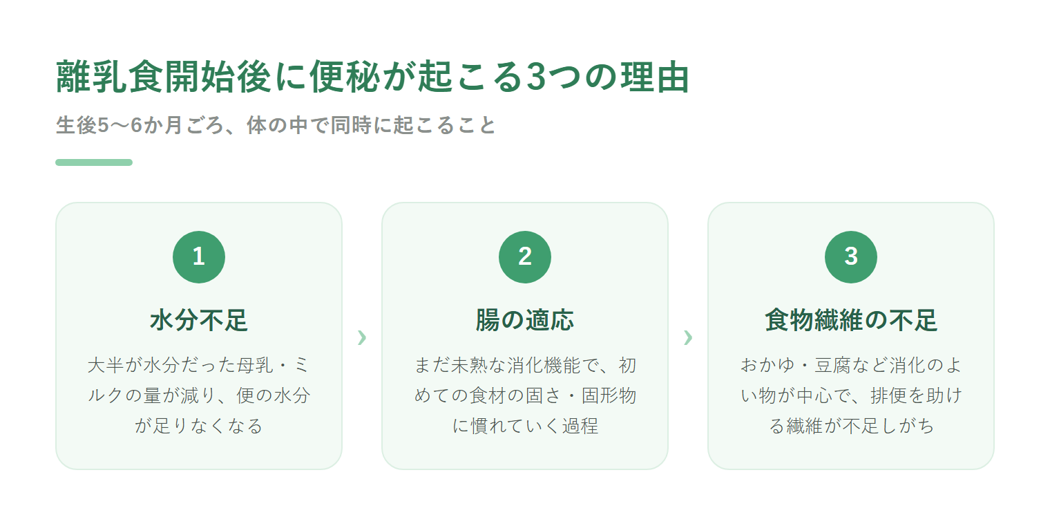 離乳食開始後に便秘が起こる3つの理由(水分不足・腸の適応・食物繊維の不足)を示した図解