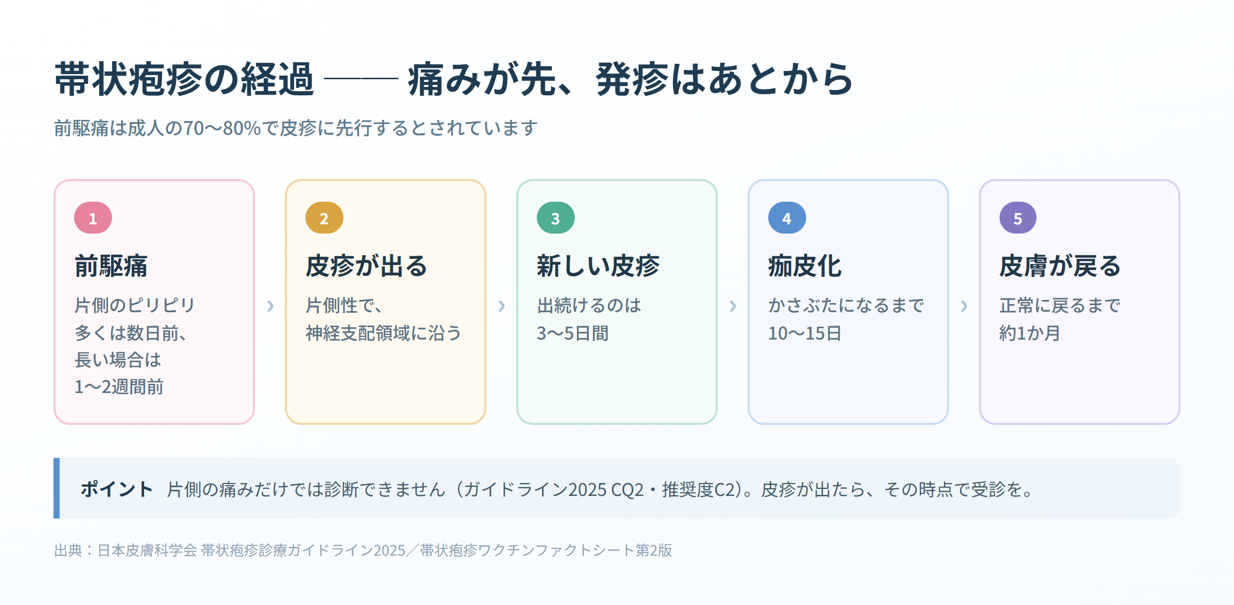 帯状疱疹の経過を示す図解。前駆痛から皮疹の出現、新規皮疹が出続ける3〜5日、痂皮化までの10〜15日、皮膚が戻るまで約1か月までの目安
