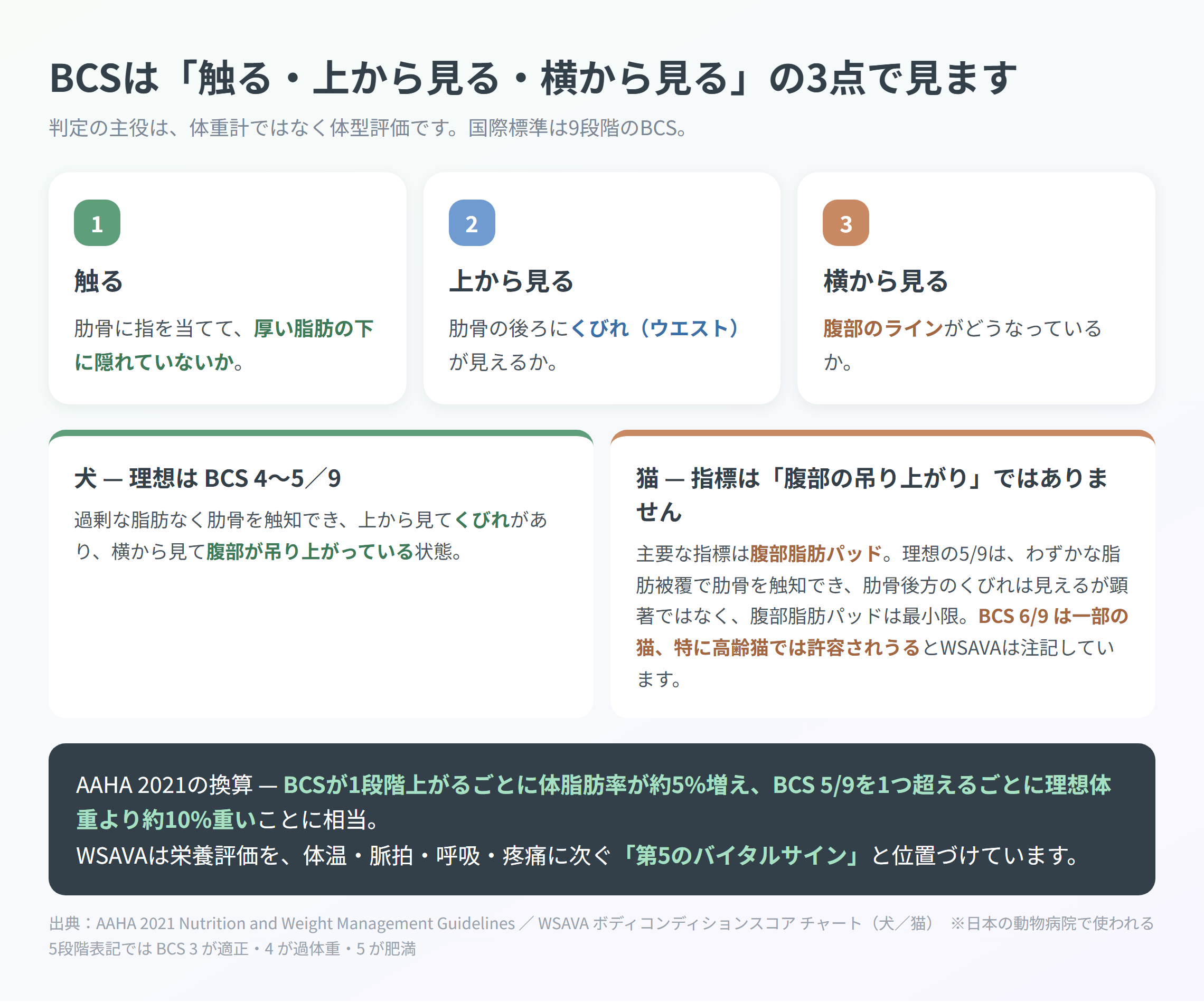 BCS判定の3点(肋骨を触る・上から見たくびれ・横から見た腹部ライン)と、犬と猫で指標が違うことを整理した図解