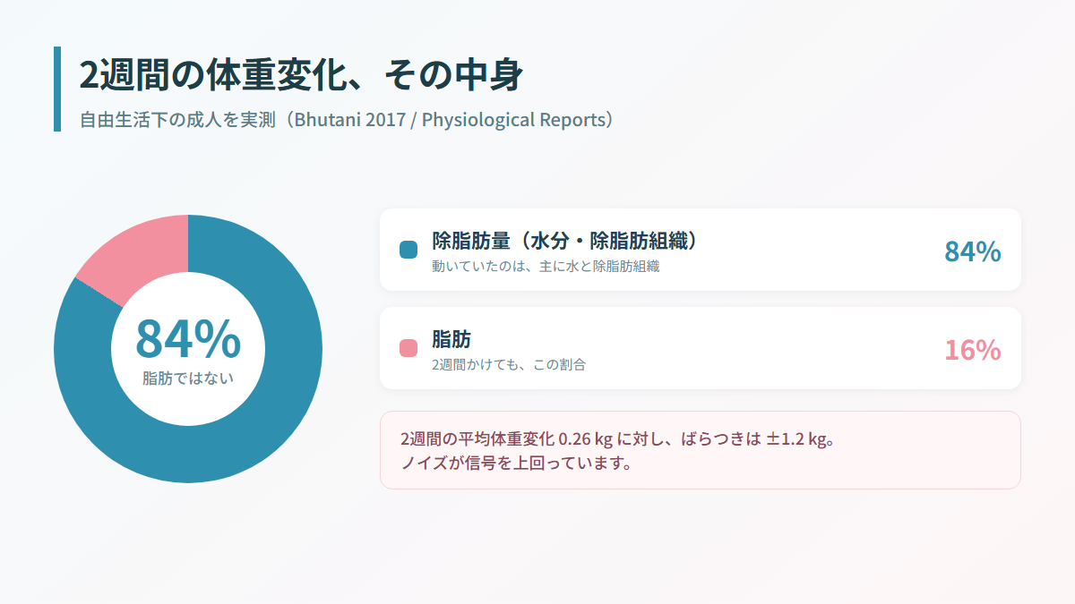 2週間の体重変化の内訳を示す円グラフ。除脂肪量（水分・除脂肪組織）84%、脂肪16%