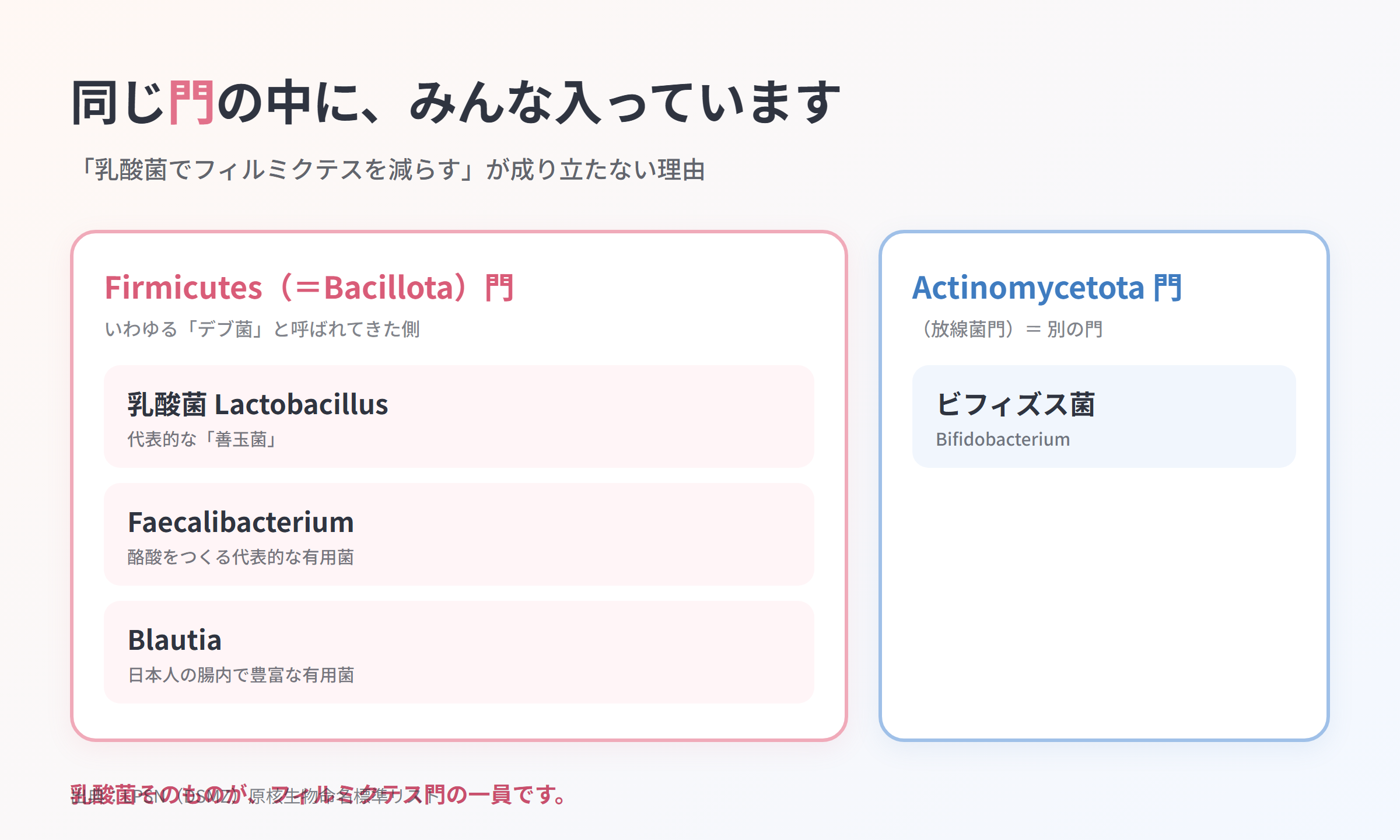 Firmicutes（＝Bacillota）門の枠内に乳酸菌・Faecalibacterium・Blautia が入り、ビフィズス菌だけが別の Actinomycetota 門に置かれた包含図
