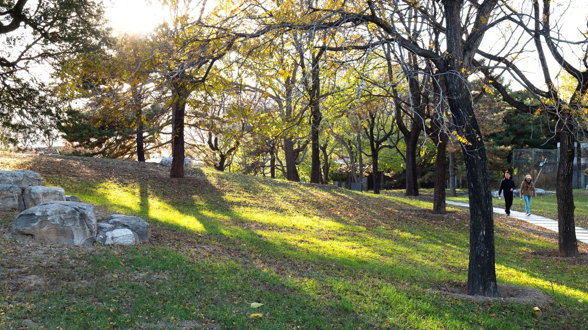夕方の日差しが差し込む公園の遊歩道を、二人が並んでゆっくり歩いている秋の風景