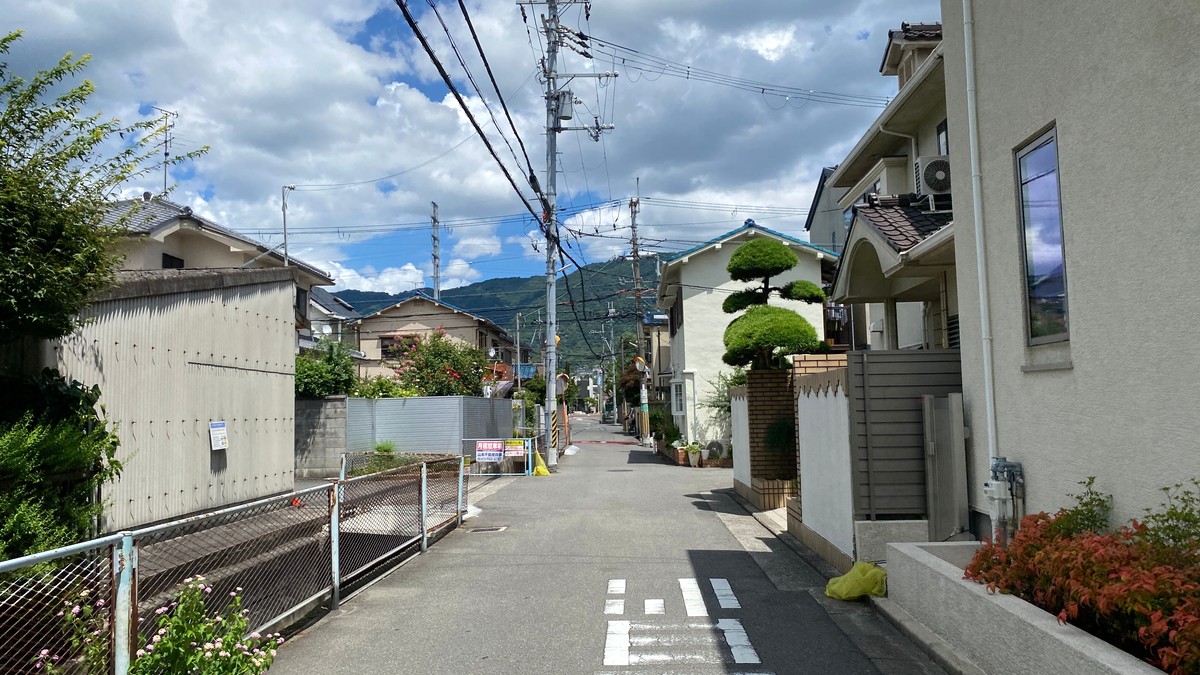 青空の下、住宅と生垣が並ぶ日本の静かな住宅街