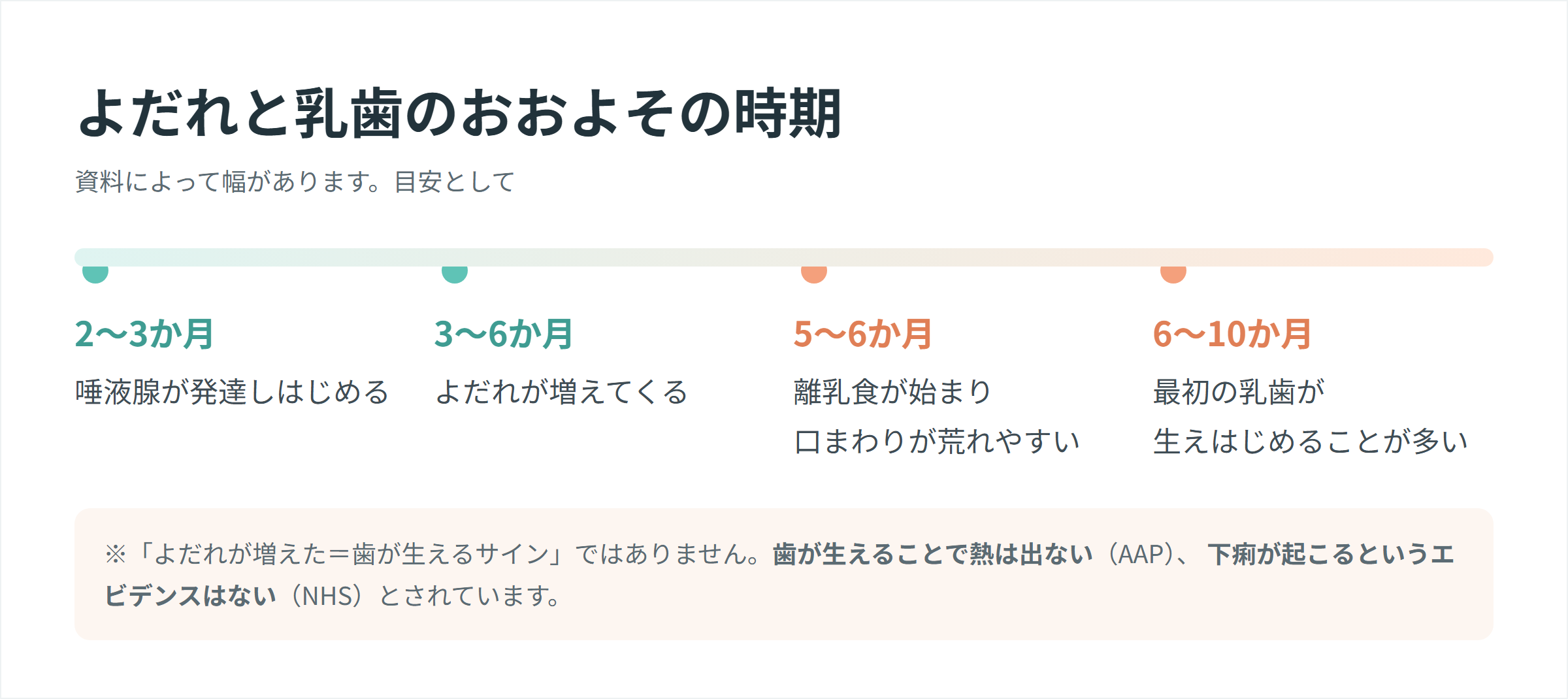 生後2〜3か月の唾液腺の発達から6〜10か月の乳歯までを並べた、よだれと乳歯の時期のタイムライン図