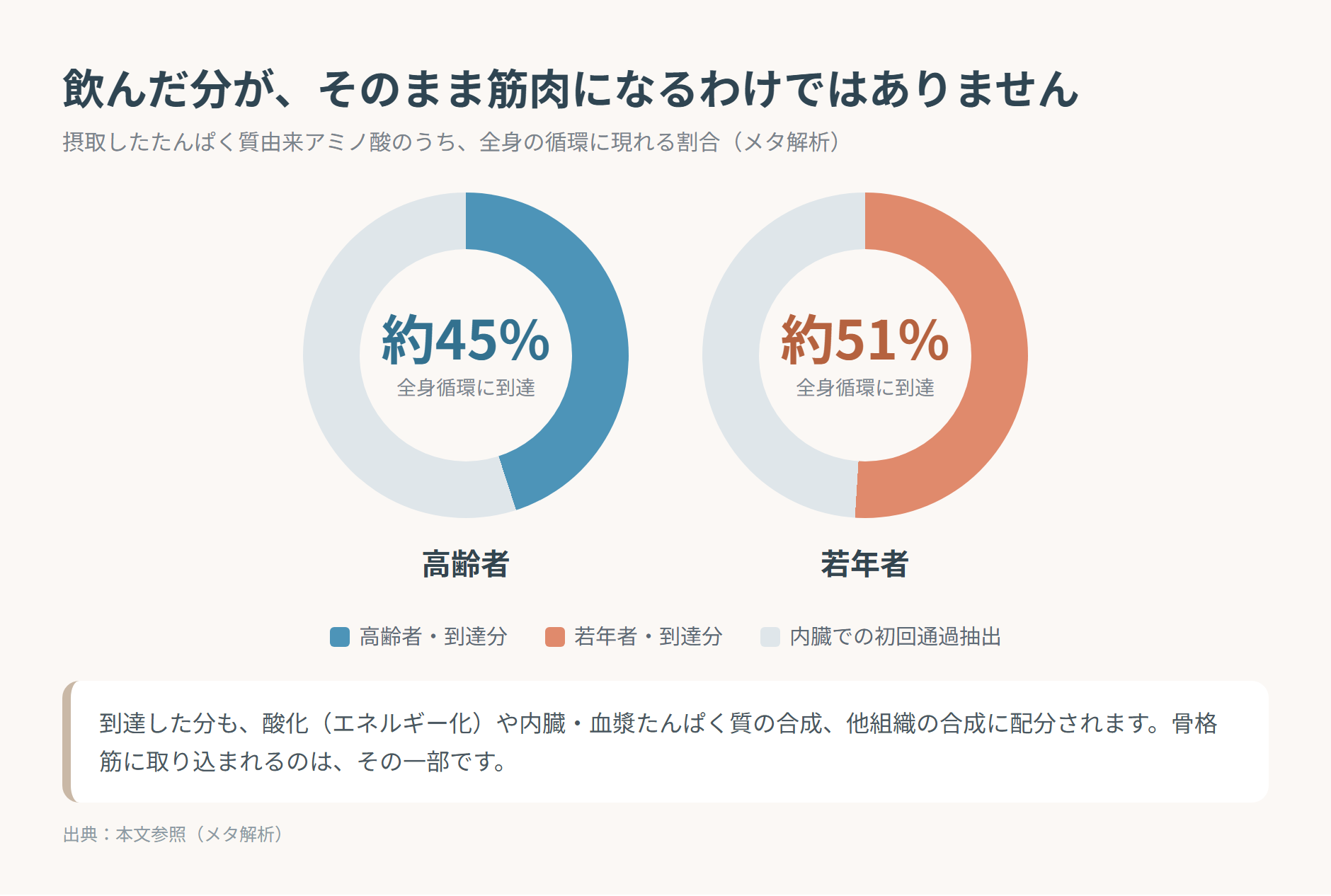 摂取したたんぱく質由来アミノ酸のうち全身循環に到達する割合を示したドーナツ図2つ。高齢者は約45%、若年者は約51%で、残りは内臓での初回通過抽出にあたることを示している