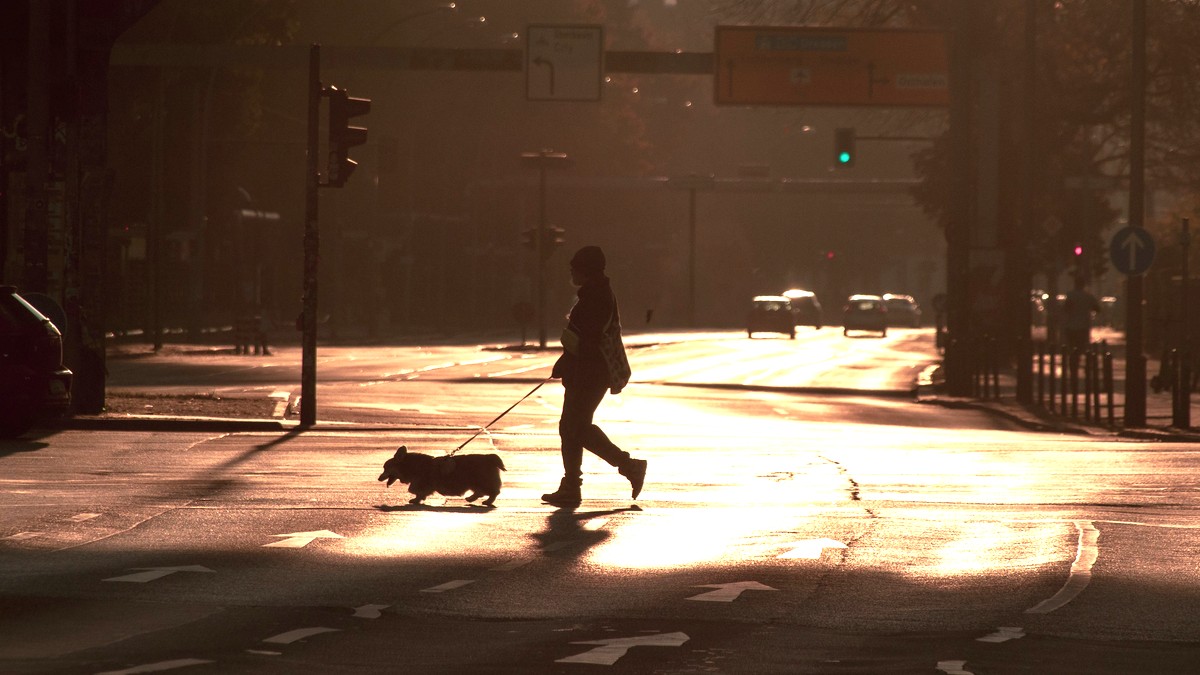 朝日のなかで犬を連れて横断歩道を歩く人のシルエット。早朝の住宅街の道路