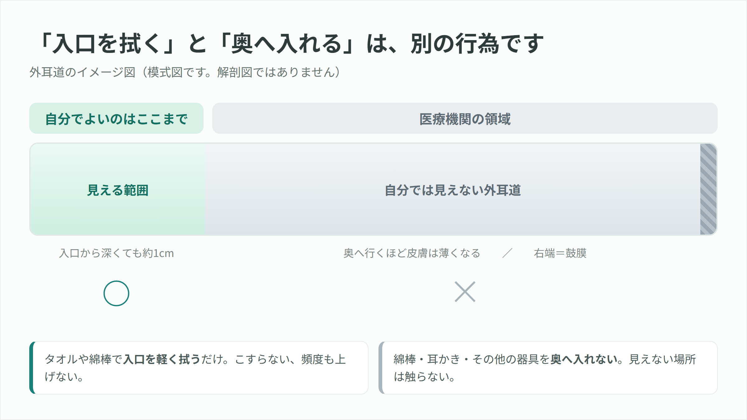 外耳道の模式図。入口から約1cmまでを「自分でよいのはここまで」、その奥を「医療機関の領域」として色分けした図解