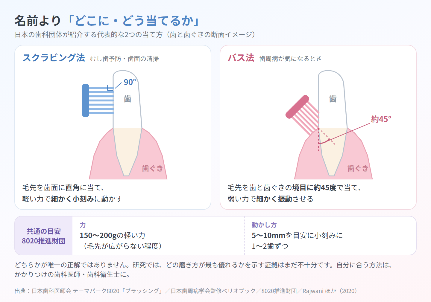 歯と歯ぐきの断面イメージで2つの当て方を並べた図。スクラビング法は毛先を歯面に直角に当てて細かく小刻みに、バス法は毛先を歯と歯ぐきの境目に約45度で当てて弱い力で細かく振動。下に共通の目安として150〜200gの軽い力(毛先が広がらない程度)と5〜10mmを目安に1〜2歯ずつ(8020推進財団)