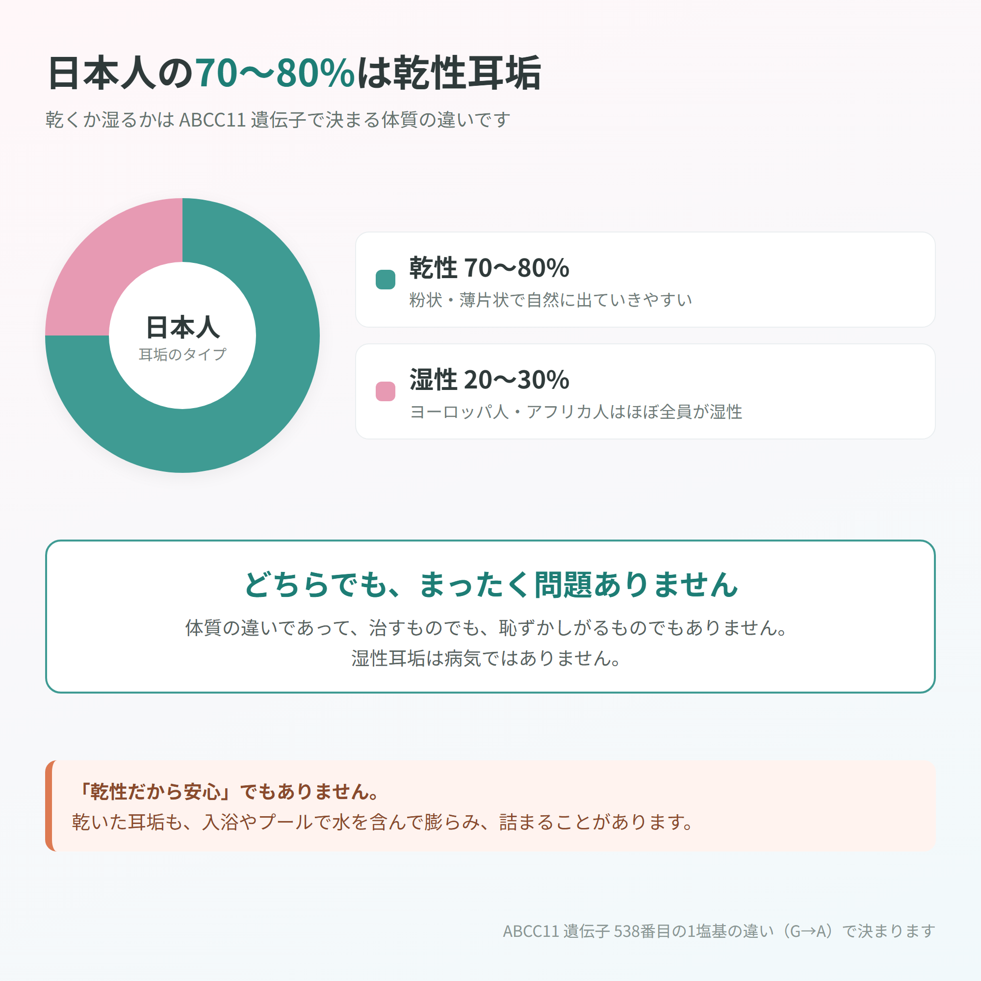 日本人の耳垢タイプの内訳。乾性70〜80%・湿性20〜30%のドーナツグラフと「どちらでも問題ない」という注記