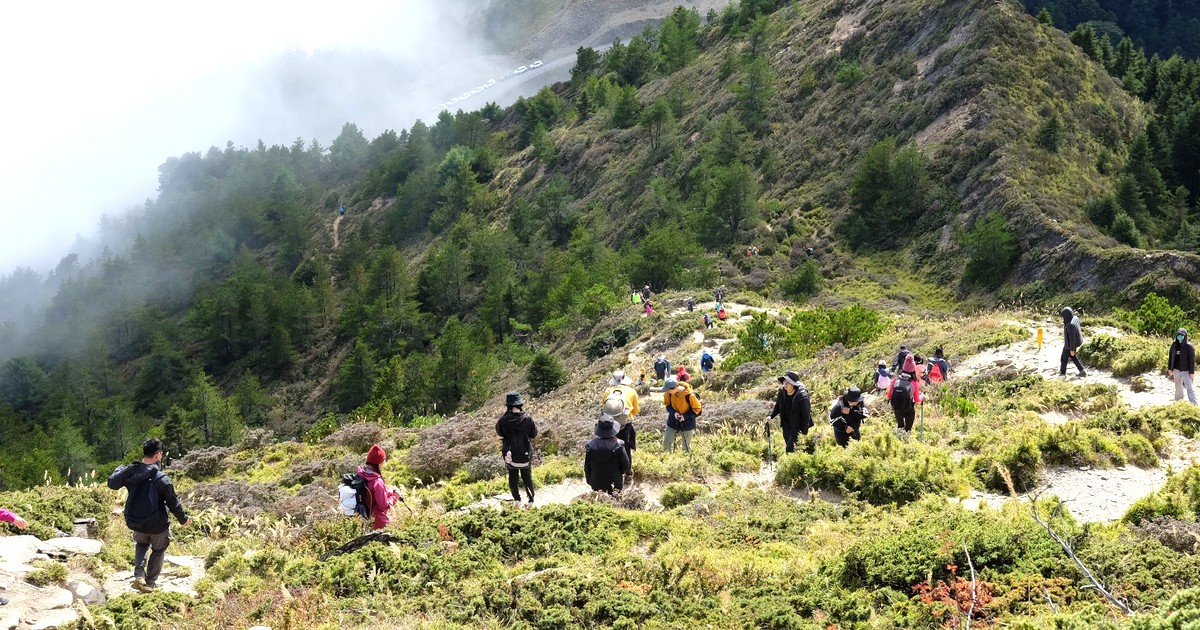 登山の膝サポーター、なしだと危ない？研究で確かめた選び方とストック