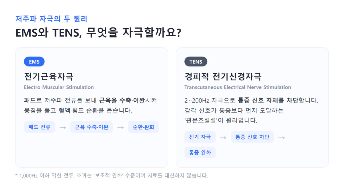 저주파 마사지기의 EMS·TENS 전기자극 원리 다이어그램