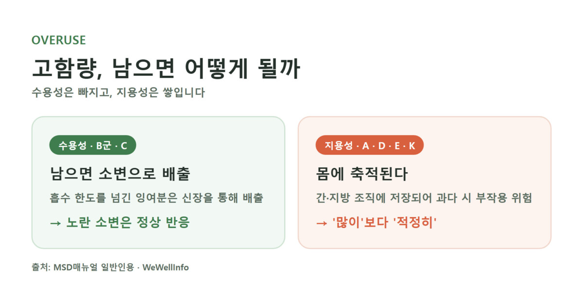 수용성 비타민(B·C)은 소변으로 배출되고 지용성 비타민(A·D·E)은 몸에 축적된다는 과잉의 결과 차이를 정리한 핵심 포인트 카드