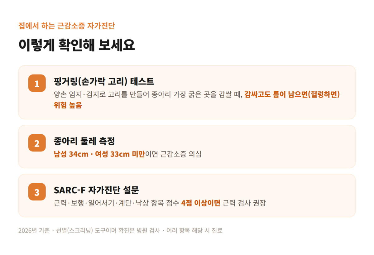 핑거링 테스트·종아리 둘레·SARC-F 설문 등 근감소증 자가진단 항목을 정리한 체크리스트 그래픽
