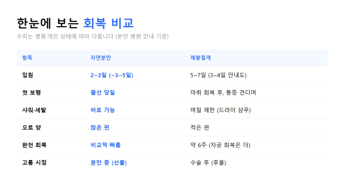 자연분만과 제왕절개의 입원·첫 보행·샤워·오로 양·완전 회복·고통 시점을 항목별로 나란히 비교한 정보그래픽 표