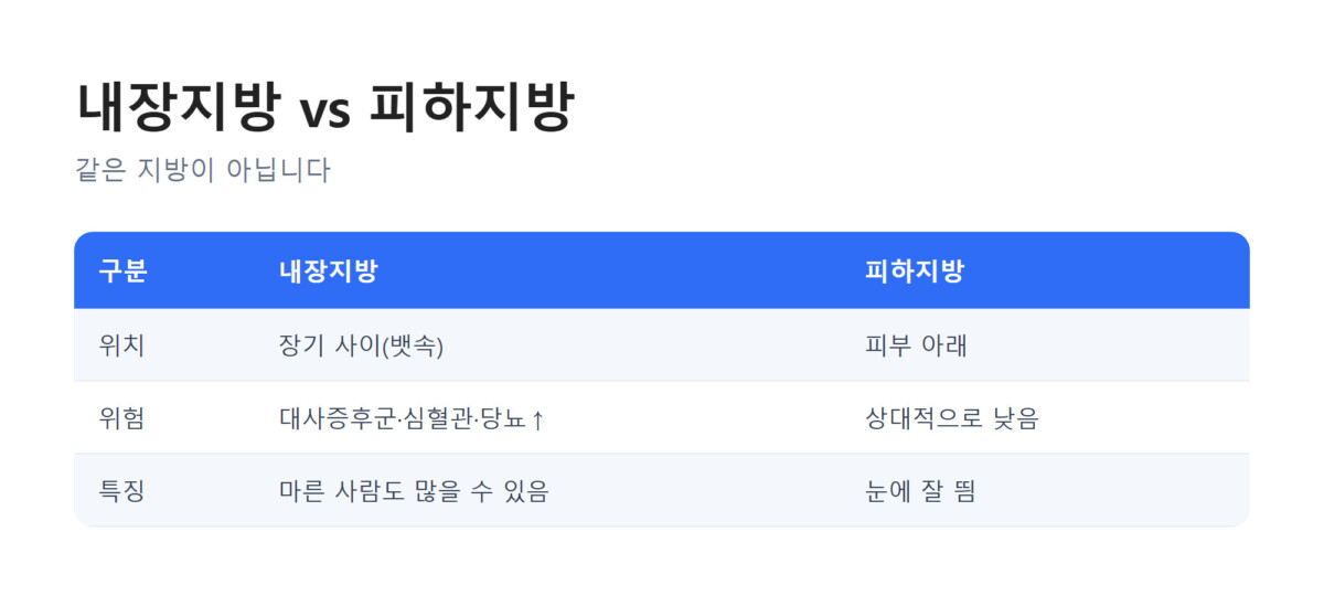 내장지방과 피하지방의 차이