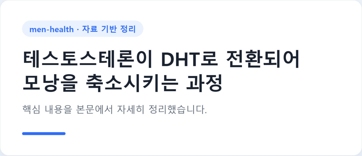테스토스테론이 DHT로 전환되어 모낭을 축소시키는 과정