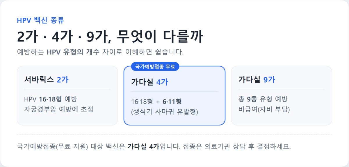 HPV 백신 2가·4가·9가의 예방 유형과 국가지원 여부를 정리한 비교표