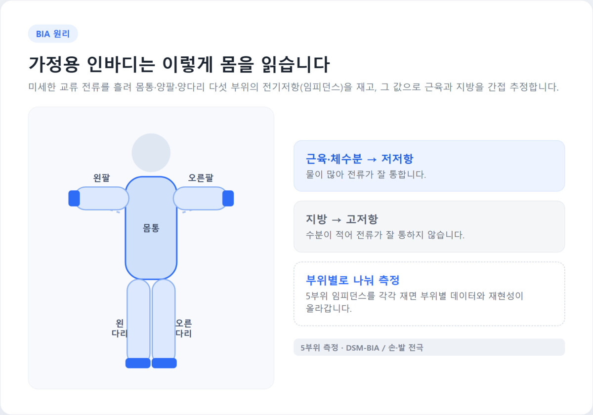 몸통·양팔·양다리 다섯 부위로 나눈 인체 도식과 손·발 전극. 근육·체수분은 저저항, 지방은 고저항으로 전류가 흐르는 BIA 측정 원리