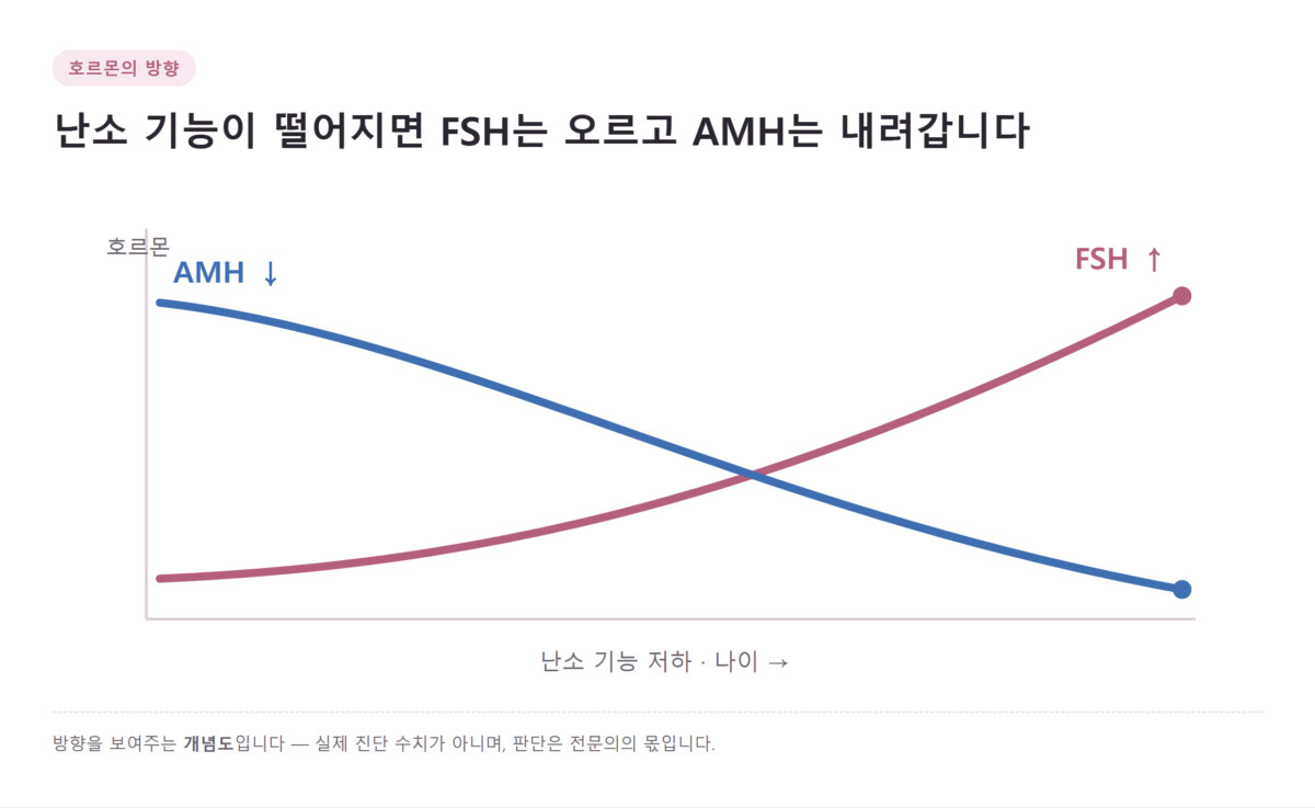 난소 기능이 떨어질수록 FSH는 오르고 AMH는 내려가는 방향을 보여주는 개념 그래프
