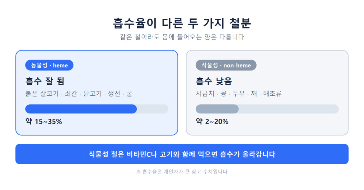동물성(heme) 철과 식물성(non-heme) 철의 흡수율 차이를 비교한 그래픽