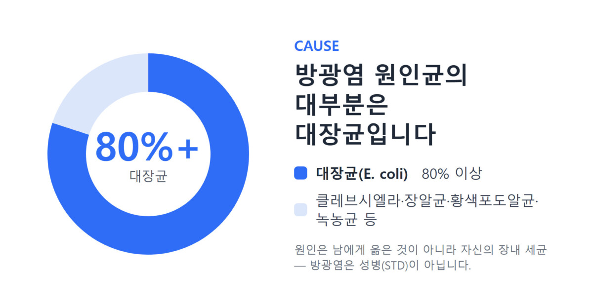 방광염 원인균의 80% 이상이 대장균이라는 것을 보여주는 도넛 그래프