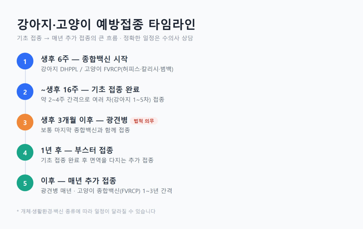 강아지와 고양이의 종합백신·광견병 기초 접종부터 매년 추가 접종까지 이어지는 예방접종 타임라인