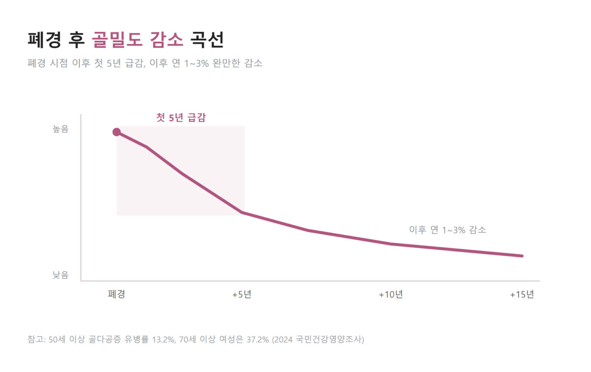 폐경 후 골밀도 감소 곡선 그래프