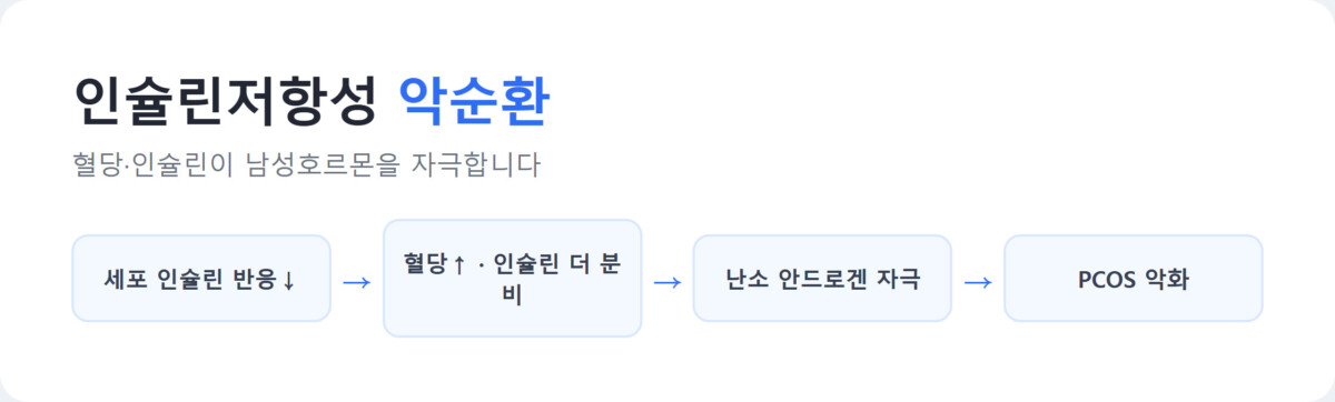 인슐린저항성에서 고인슐린혈증, 안드로겐 자극, PCOS 악화로 이어지는 악순환 다이어그램