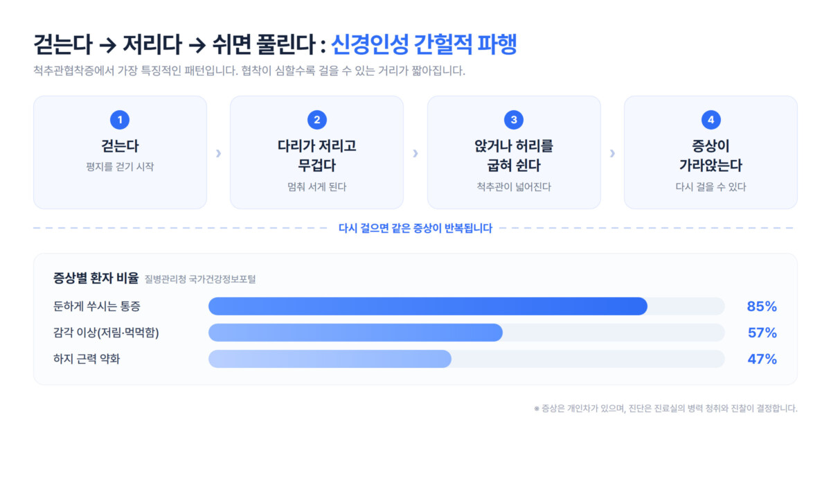 걷는다 → 다리가 저리고 무겁다 → 앉거나 허리를 굽혀 쉰다 → 증상이 가라앉는다로 이어지는 신경인성 간헐적 파행의 4단계 순환도와, 둔한 통증 85%·감각 이상 57%·하지 근력 약화 47%를 나타낸 가로 막대그래프 인포그래픽
