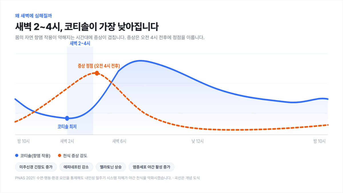 새벽 2~4시 코티솔이 최저로 떨어지고 천식 증상은 오전 4시 전후에 정점을 찍는 24시간 일주기 리듬 그래프