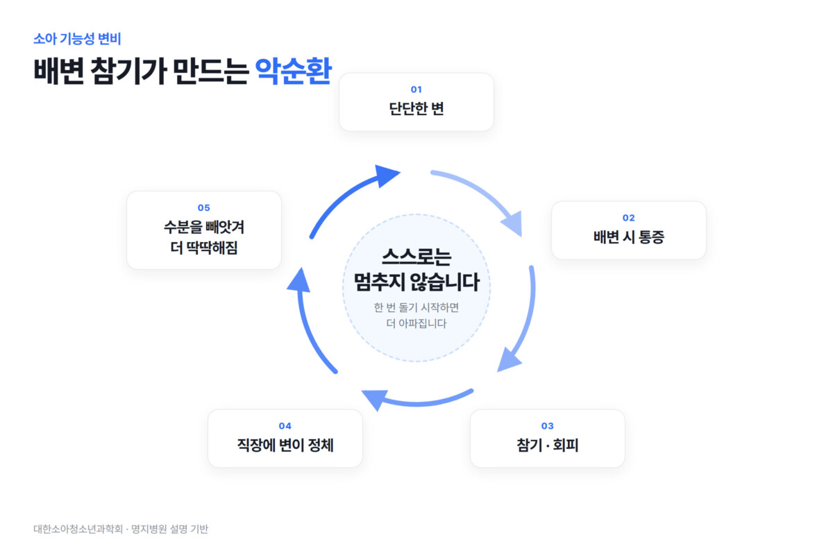 단단한 변에서 배변 통증, 참기·회피, 직장 내 변 정체, 수분 흡수로 더 딱딱해지는 소아 변비 악순환 5단계 다이어그램