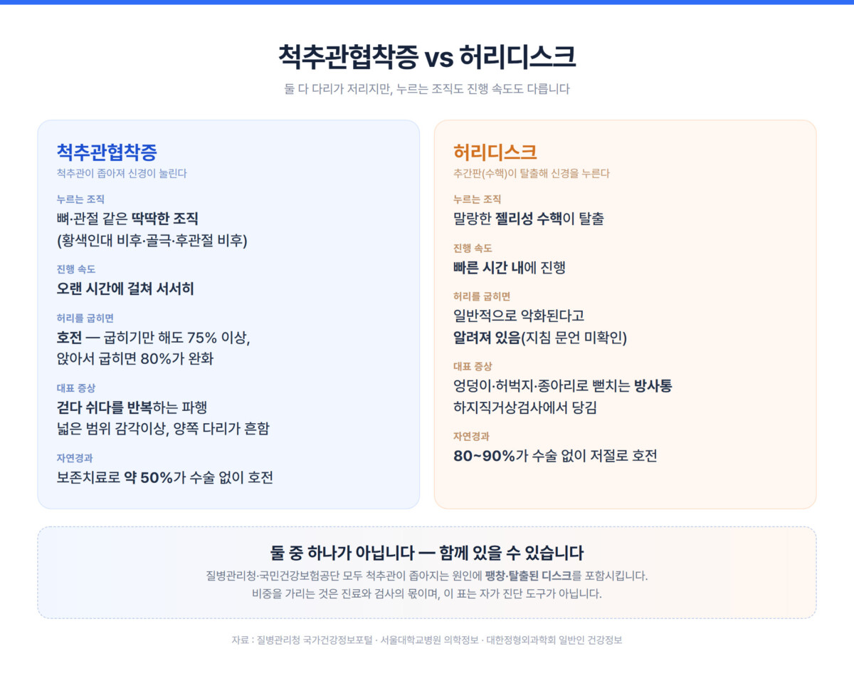 척추관협착증과 허리디스크를 누르는 조직·진행 속도·허리를 굽혔을 때·대표 증상·자연경과 다섯 항목으로 좌우 비교하고, 하단에 두 질환이 함께 있을 수 있다는 설명 띠를 배치한 비교 인포그래픽
