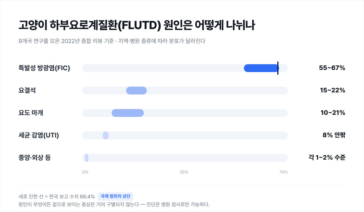 고양이 하부요로계질환 원인별 보고 범위를 가로 막대로 비교한 그래프 — 특발성 방광염 55~67%(한국 66.4%), 요결석 15~22%, 요도 마개 10~21%, 세균 감염 8% 안팎