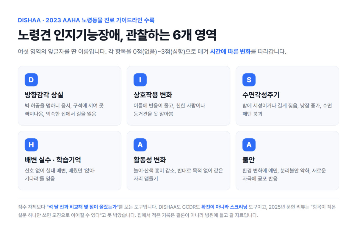 노령견 인지기능장애의 6개 관찰 영역(DISHAA)을 정리한 인포그래픽 - 방향감각 상실, 상호작용 변화, 수면각성주기, 배변 실수와 학습기억, 활동성 변화, 불안