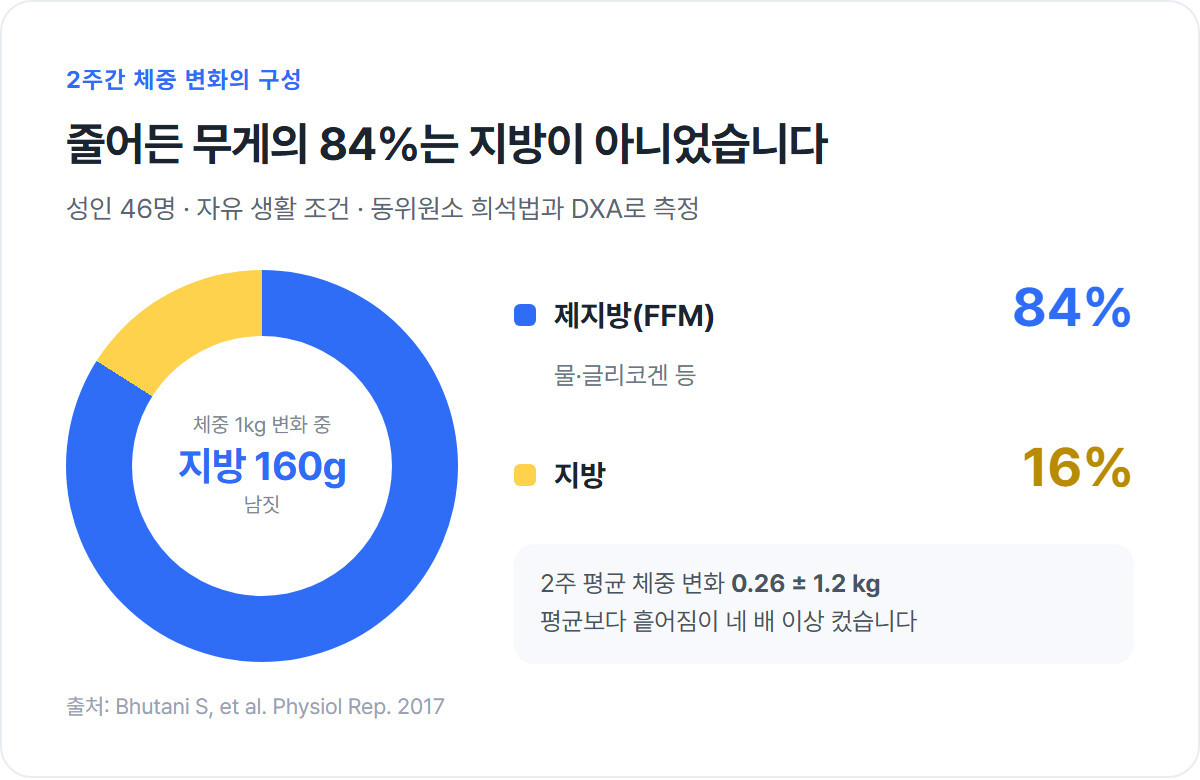 2주간 체중 변화의 84%가 제지방이고 지방은 16%뿐이었음을 보여주는 도넛 차트