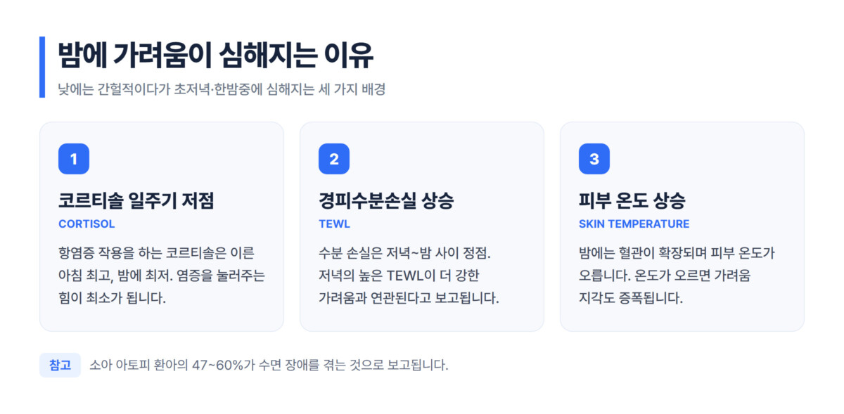 밤에 가려움이 심해지는 세 가지 배경을 정리한 카드형 인포그래픽 - 코르티솔 일주기 저점, 경피수분손실(TEWL) 야간 상승, 피부 온도 상승
