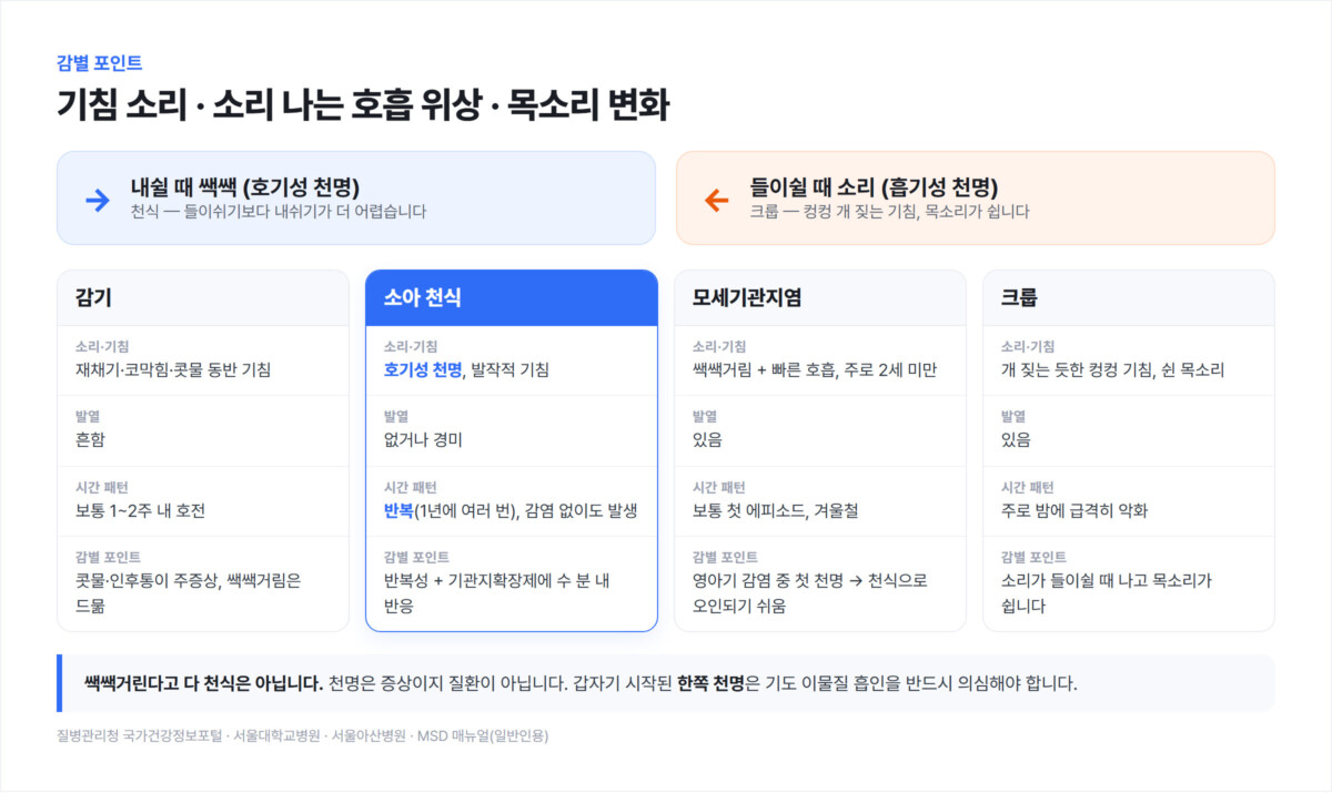 감기·소아 천식·모세기관지염·크룹을 소리와 발열, 시간 패턴으로 나눈 감별 비교 인포그래픽. 내쉴 때 쌕쌕(호기성 천명)과 들이쉴 때 소리(흡기성 천명)를 나란히 대비