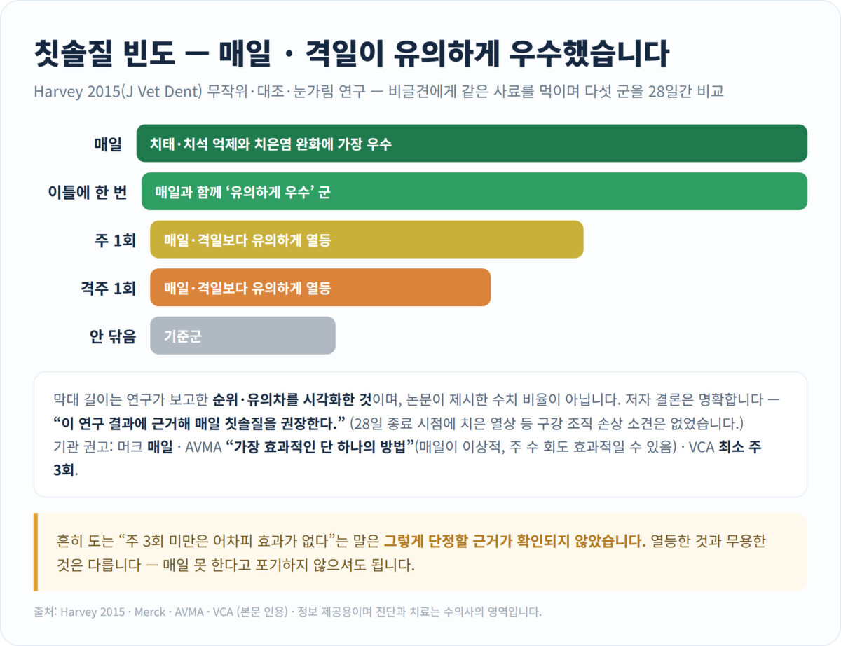 칫솔질 빈도별 효과 비교 - 매일과 이틀에 한 번이 주 1회·격주보다 유의하게 우수했던 Harvey 2015 연구 결과
