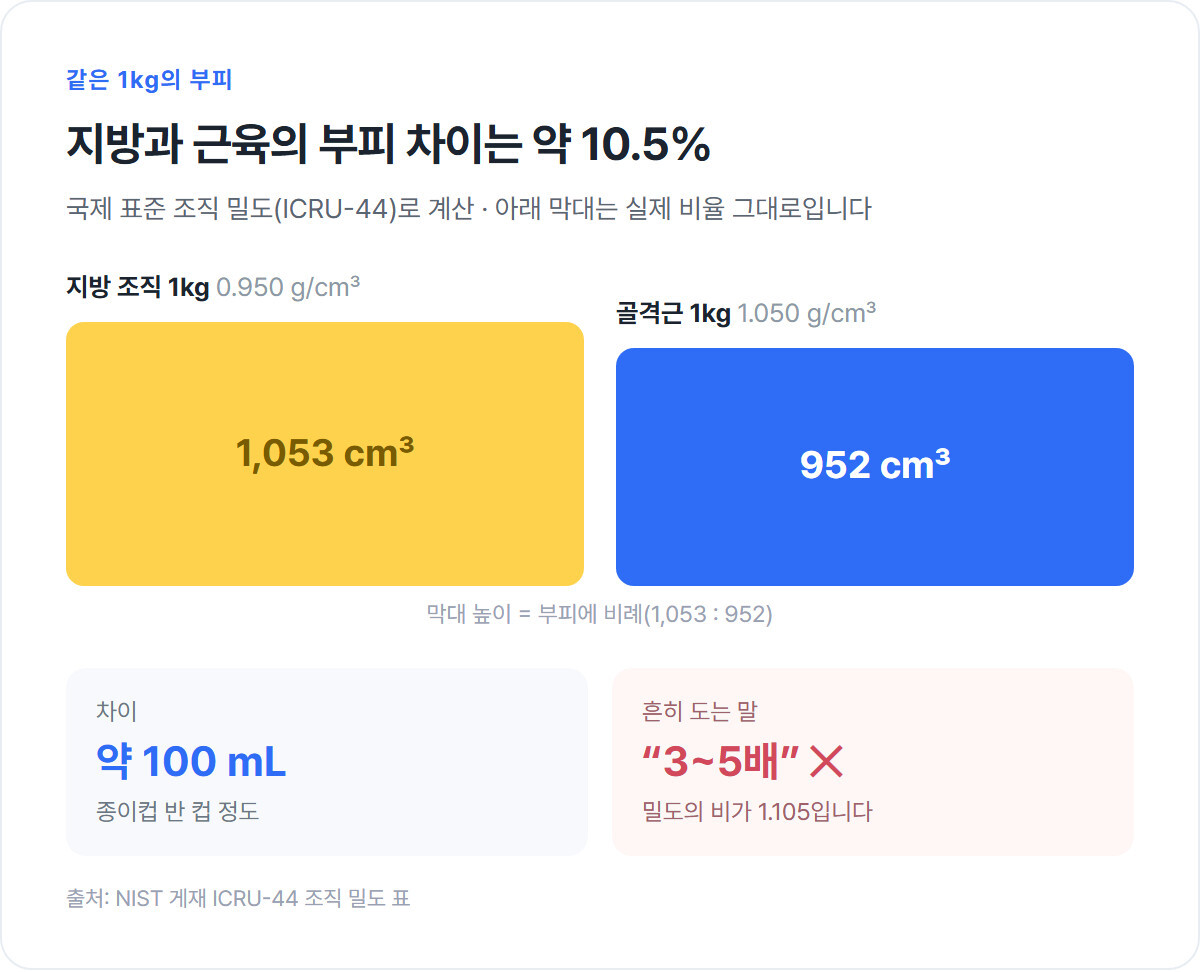 지방 조직 1kg(1,053cm³)과 골격근 1kg(952cm³)의 부피를 실제 비율의 막대로 비교하고 차이가 약 100mL임을 표시한 그래픽