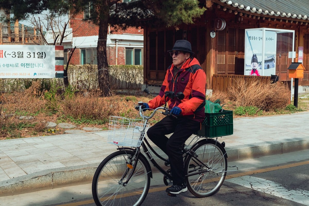 맑은 낮의 수원 거리에서 짐바구니를 실은 자전거를 타고 상체를 살짝 숙인 자세로 페달을 밟는 한국 어르신