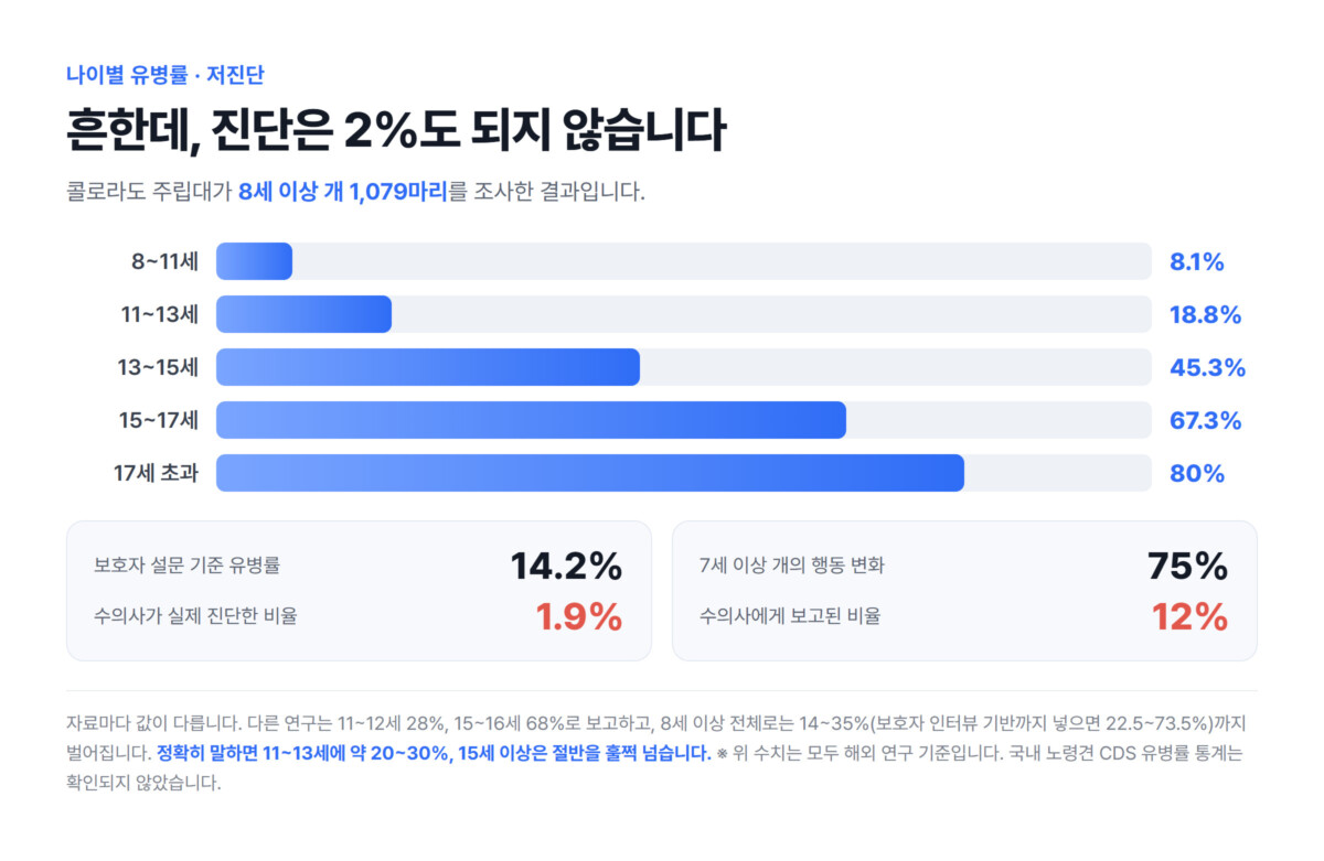 나이별 노령견 인지기능장애 유병률 막대그래프(8~11세 8.1%, 11~13세 18.8%, 13~15세 45.3%, 15~17세 67.3%, 17세 초과 80%)와 보호자 설문 14.2% 대비 수의사 진단 1.9%, 행동 변화 75% 대비 보고 12%의 저진단 비교