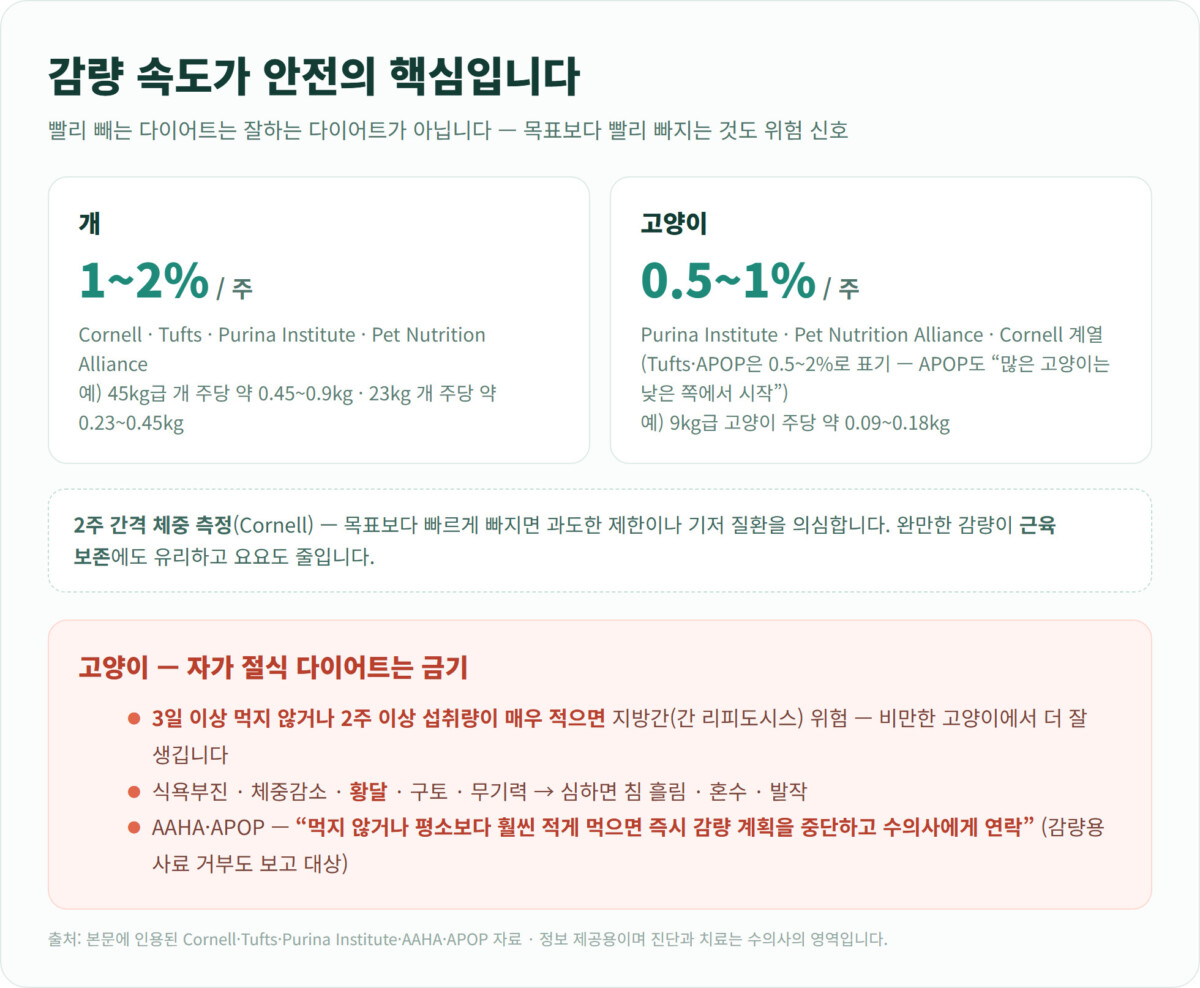 감량 속도 안전선 - 개 주당 체중의 1~2%, 고양이 0.5~1%(자료에 따라 0.5~2%), 2주 간격 체중 측정, 고양이가 먹지 않으면 즉시 중단하고 수의사에게 연락