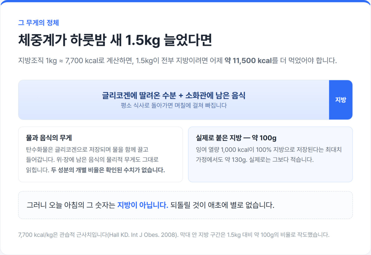체중계가 읽은 1.5kg을 글리코겐에 딸려온 수분과 소화관에 남은 음식, 그리고 아주 얇은 실제 지방 약 100g 구간으로 나눠 그린 가로 막대 도식