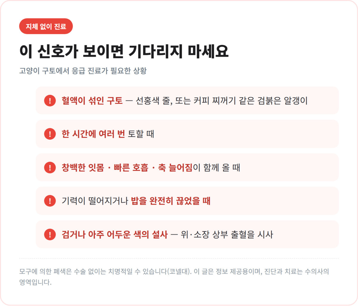 고양이 구토 응급 신호 체크리스트 - 혈액이 섞인 구토, 한 시간에 여러 번, 창백한 잇몸·빠른 호흡·축 늘어짐, 밥을 완전히 끊음, 검거나 아주 어두운 설사