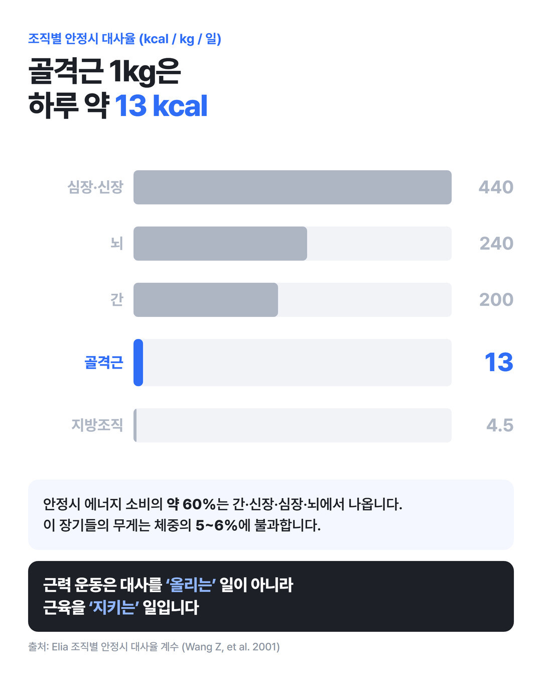 조직별 안정시 대사율 막대 그래프 — 골격근 1kg은 하루 약 13kcal