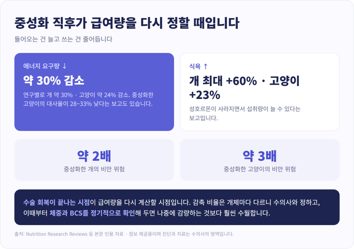 중성화 후 변화 - 에너지 요구량 약 30% 감소(개 30%·고양이 24%), 식욕은 개 최대 60%·고양이 23% 증가, 비만 위험 개 약 2배·고양이 약 3배