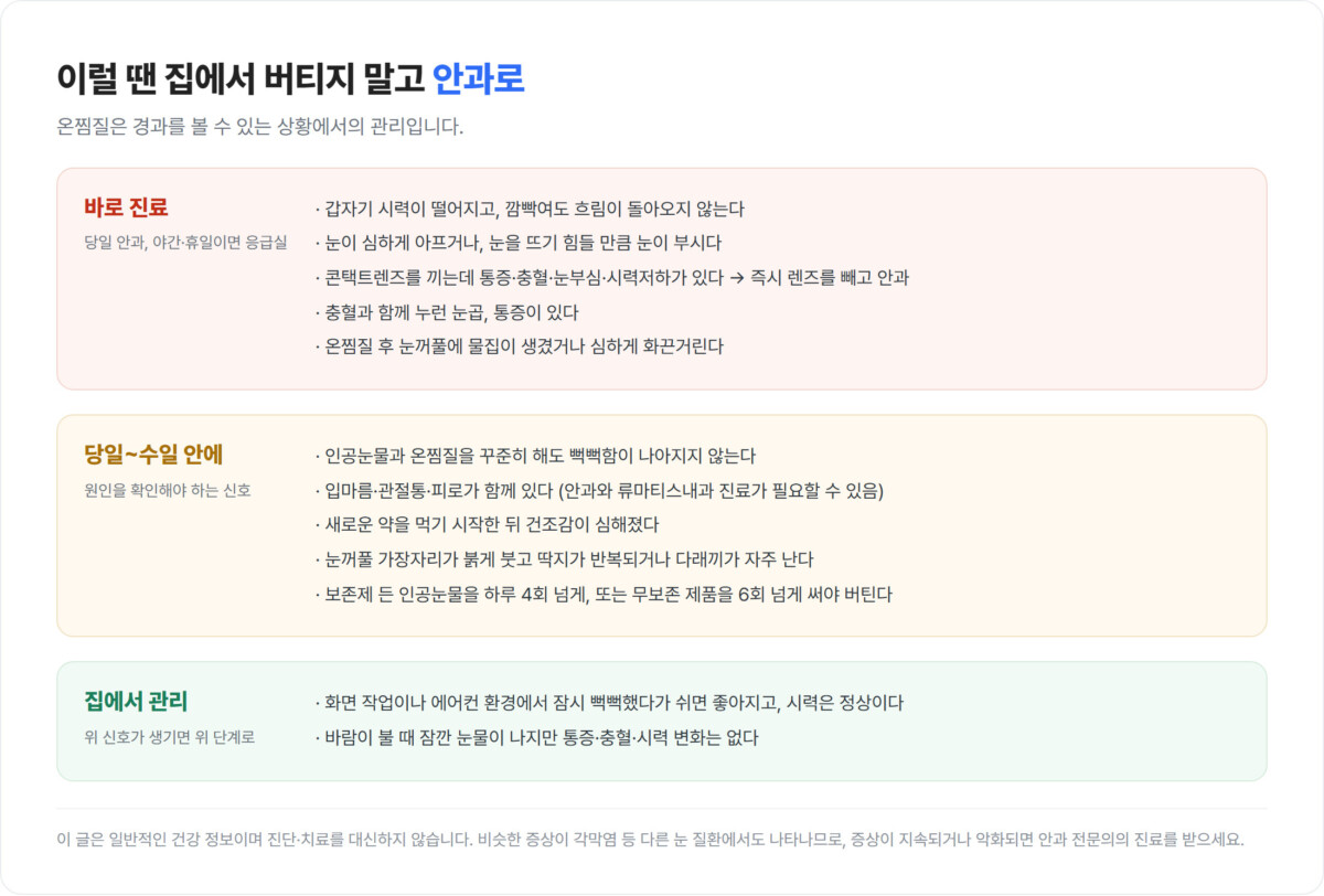안과 방문 기준을 바로 진료·당일~수일 안에·집에서 관리 세 단계로 나눈 신호등형 도표