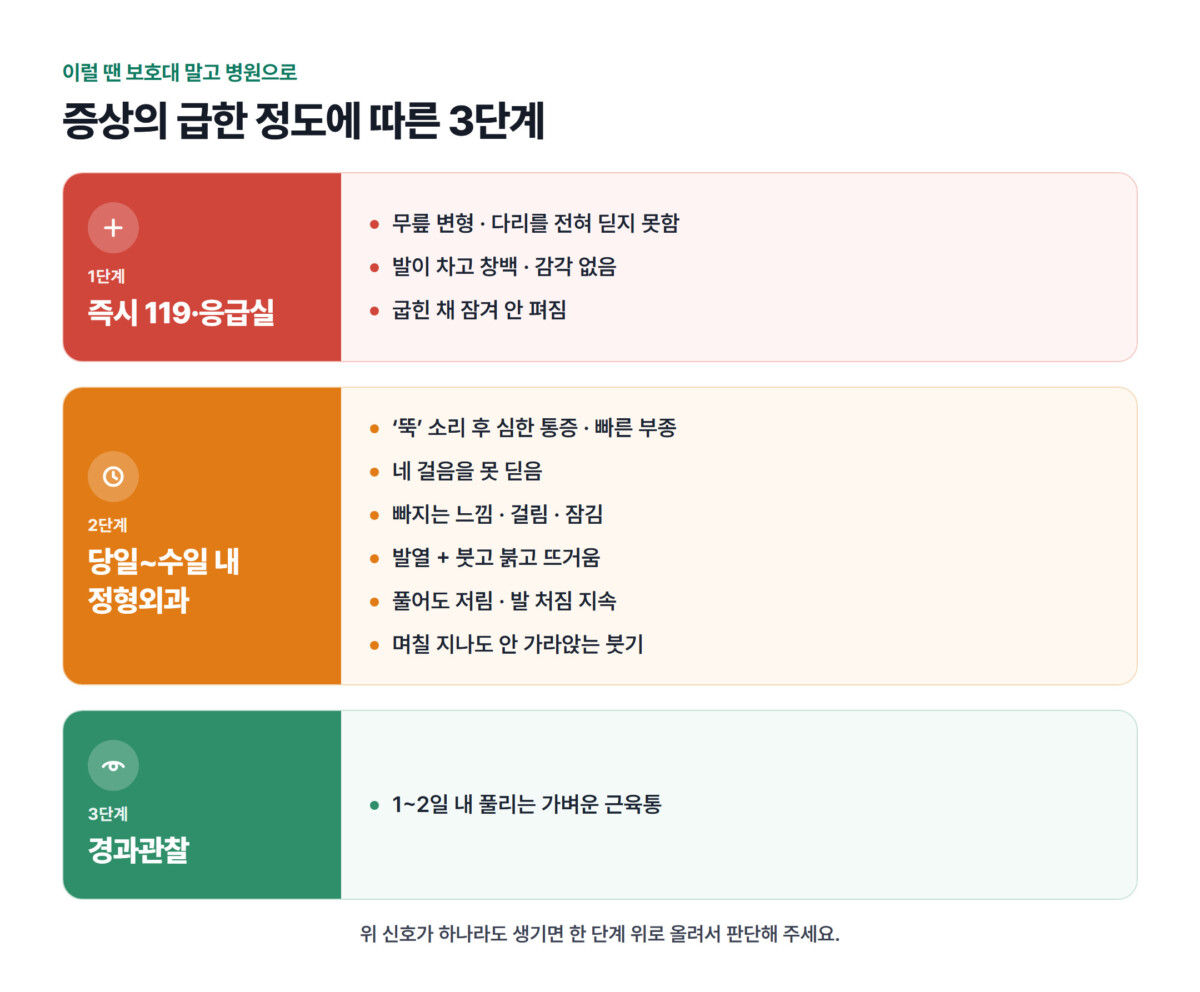 병원 방문 3단계 — 즉시 119·응급실(무릎 변형·다리를 전혀 딛지 못함, 발이 차고 창백·감각 없음, 굽힌 채 잠겨 안 펴짐), 당일~수일 내 정형외과('뚝' 소리 후 심한 통증·빠른 부종, 네 걸음을 못 딛음, 빠지는 느낌·걸림·잠김, 발열과 함께 붓고 붉고 뜨거움, 풀어도 저림·발 처짐 지속, 며칠 지나도 안 가라앉는 붓기), 경과관찰(1~2일 내 풀리는 가벼운 근육통)