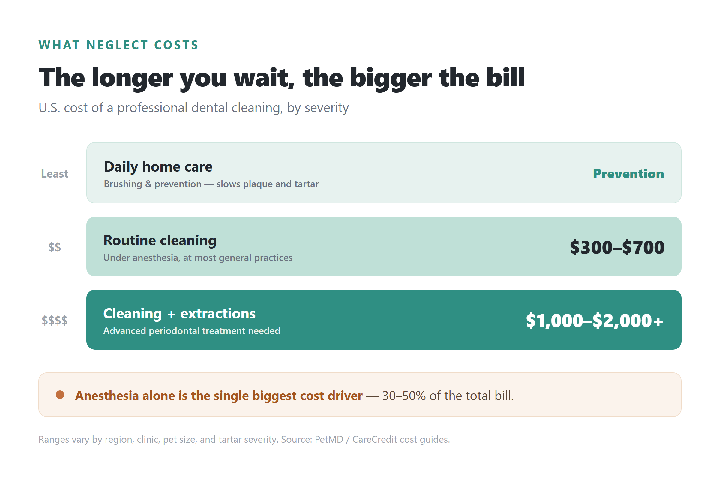 Bar chart comparing U.S. pet dental costs: daily home care prevention, a $300–$700 routine cleaning, and a $1,000–$2,000-plus cleaning with extractions