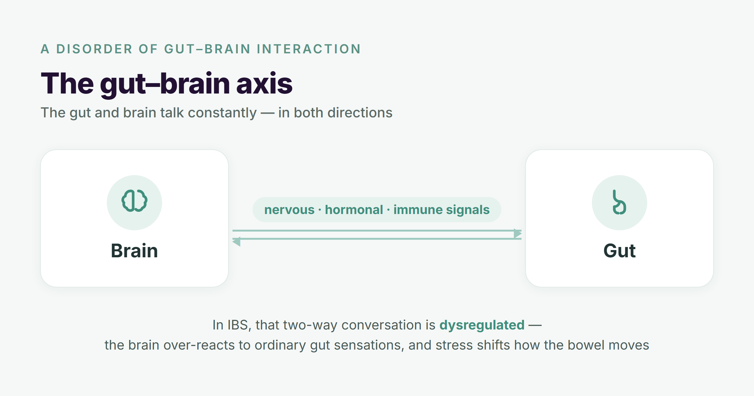 Diagram of the gut-brain axis: a brain and a gut connected by two-way arrows labeled nervous, hormonal, and immune signals, showing the two organs communicating in both directions
